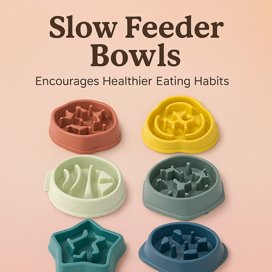 Slow Feeder Dog Bowl